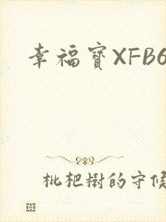 幸福宝XFB6