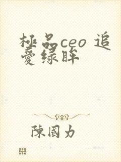极品ceo 追爱绿眸