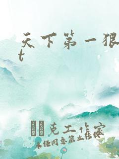 天下第一狠txt