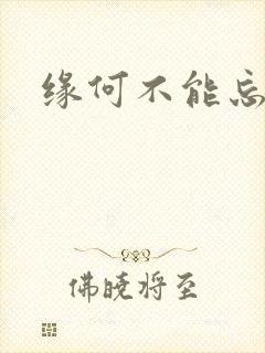 缘何不能忘记你