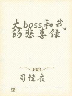 大boss和我的悲喜录