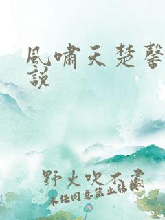 风啸天楚馨月小说
