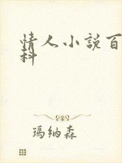 情人小说百度百科