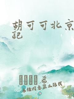 胡可可北京成功记