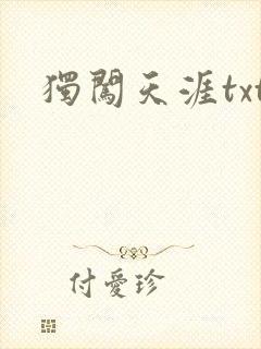 独闯天涯txt