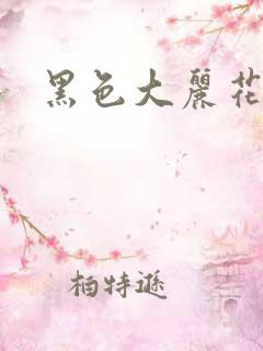 黑色大丽花图片