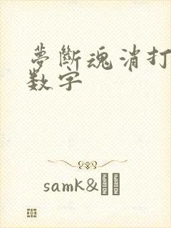 梦断魂消打三个数字