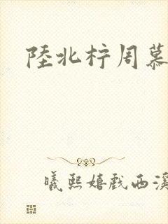 陆北柠周慕深
