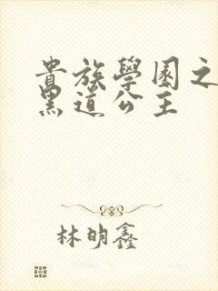 贵族学园之我的黑道公主