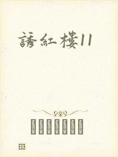 诱红楼11