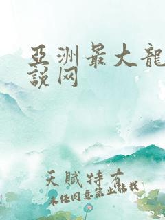 亚洲最大龙腾小说网