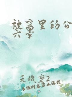 被窝里的公息第六章