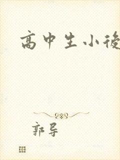 高中生小后妈