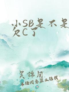 小SB是不是又欠C了