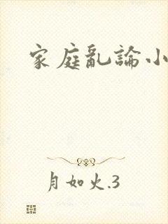 家庭乱论小说