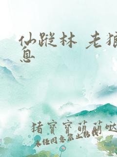 仙踪林 老狼信息