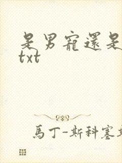 是男宠还是禁脔txt