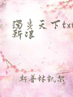 独步天下txt新浪