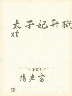 太子妃升职记txt