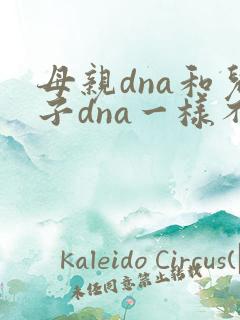 母亲dna和儿子dna一样不