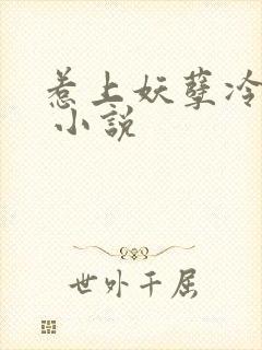 惹上妖孽冷殿下 小说