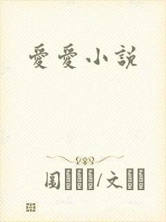 爱爱小说