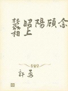 楚昭阳顾念在冰箱上