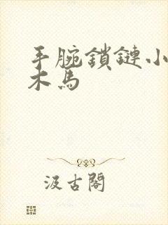 手腕锁链小黑屋木马