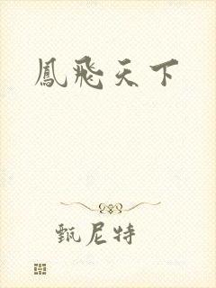 凤飞天下