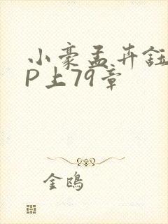 小豪孟卉钰慧三P上79章