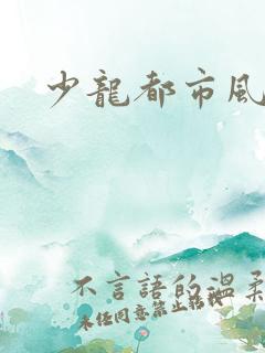 少龙都市风流行