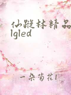 仙踪林精品zzlgled