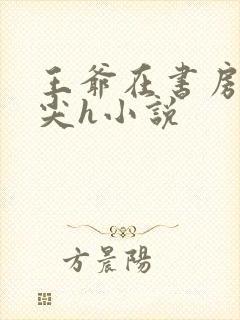 王爷在书房含乳尖h小说