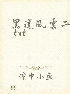 黑道风云二十年 txt