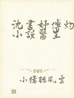 沈书妤傅灼抖音小说医生