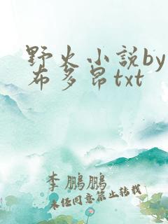 野火小说by夏布多昂txt