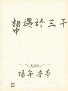 相遇于三千肉文中
