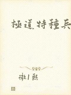 极道特种兵