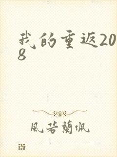 我的重返2008