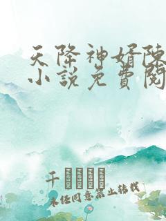 天降神婿陈黄皮小说免费阅读