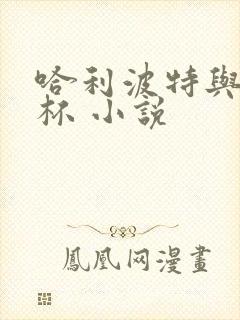 哈利波特与火焰杯 小说