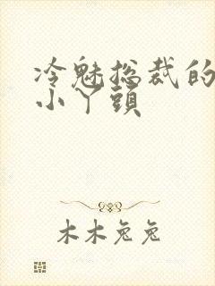 冷魅总裁的纯纯小丫头