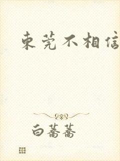 东莞不相信眼泪