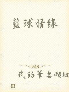 篮球情缘