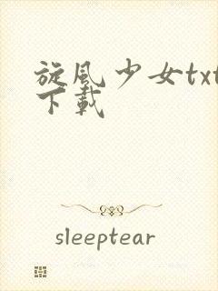 旋风少女txt下载