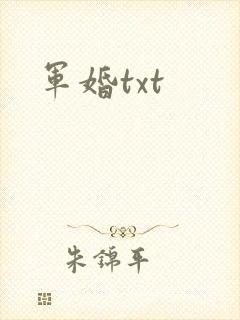 军婚txt