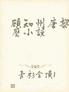 顾知州唐黎叫什么小说