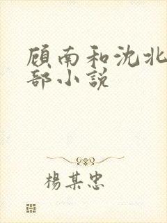 顾南和沈北是哪部小说