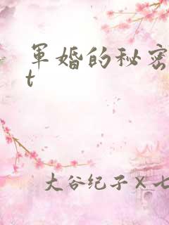 军婚的秘密txt