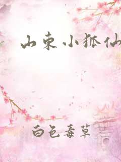 山东小狐仙